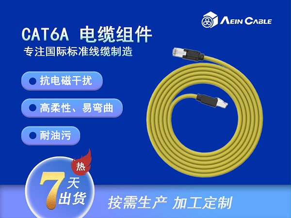 CAT6A 电缆组件