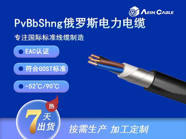 PVBbShng EAC认证0.66/1KV铠装电力电缆