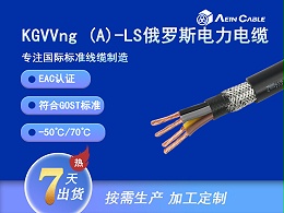 KGVVng (A)-LS EAC0.6/1Kv耐低温电力电缆